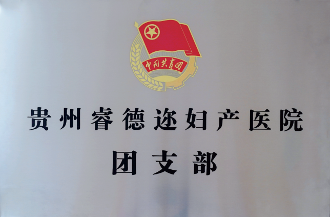 团支部