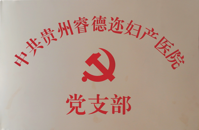党支部